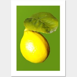 Fresh California Lemon Posters and Art